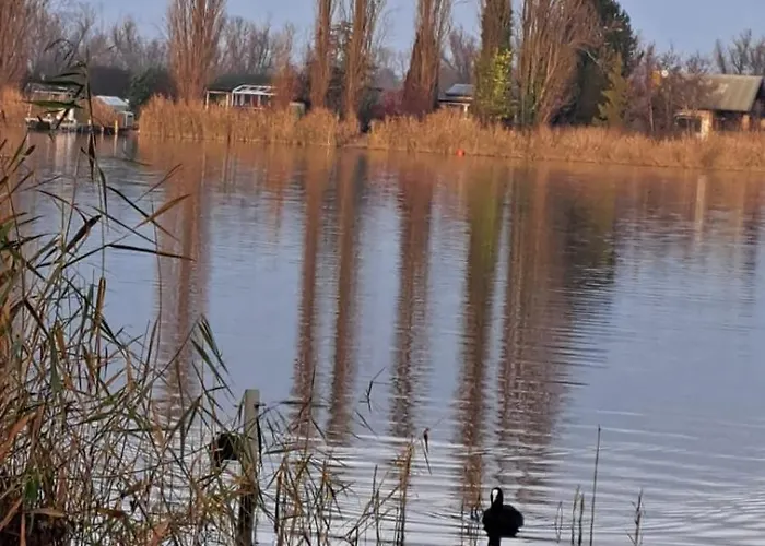 Semesterbostad - Wohnung- Havelblick